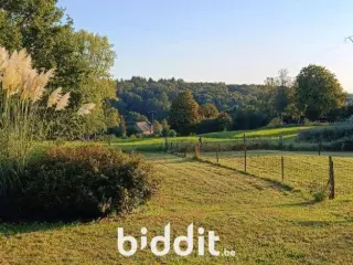 Terrain en vente publique Seloignes (VBD13204)