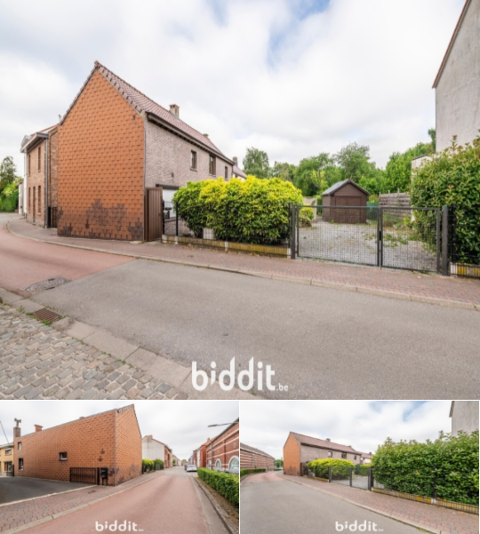VBD13366