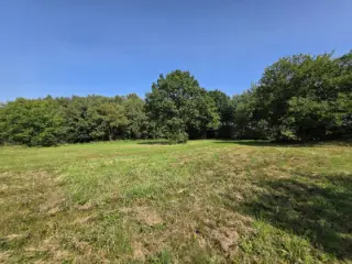 Land for sale Ferrières (VBD15117)