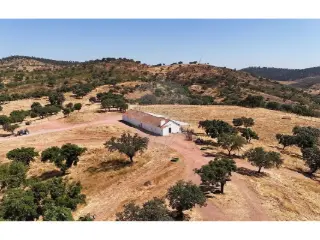 Surface commerciale à vendre Oriola (VBD16796)