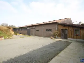 Handelspand te koop Frasnes-lez-Buissenal (VBD17097)