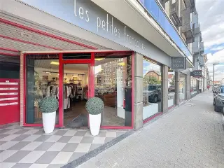 Opbrengsteigendom te koop Geldenaken (VBD17937)