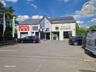 Handelspand te koop Dave (VBD18251)