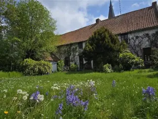 Maison à vendre Wiers (VBD18483)