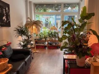 Surface commerciale à vendre Bruxelles (VBD19215)