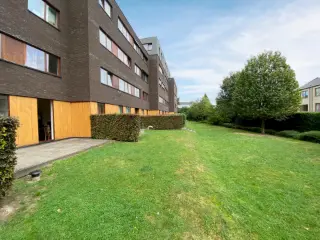 Rez-De-Chaussée à vendre Evere (VBD21362)