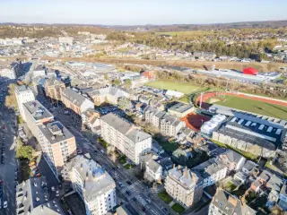 Handelspand te koop Dave (VBD23096)