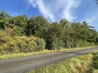 Grond te koop Ciney (VBD24095)