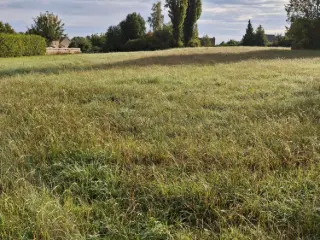 Land for sale Piétrain (VBD25046)