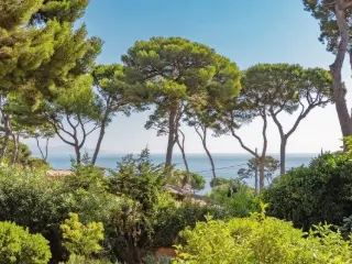 Maison à vendre Antibes (VBD25556)