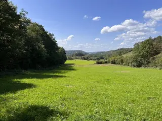 Terrain agricole à vendre Ave-et-Auffe (VBD25614)