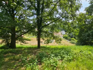 Farmland for sale Court-Saint-Étienne (VBD26323)