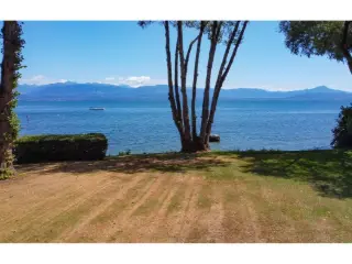 Maison à vendre Rolle (VBD26969)