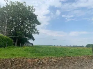 Terrain à vendre Wanze (VBD27252)