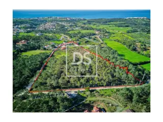 Ferme à vendre Ericeira (VBD28270)