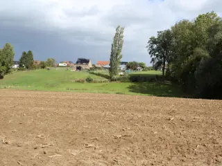 Landbouwgrond te koop Everbeek (VBD28524)