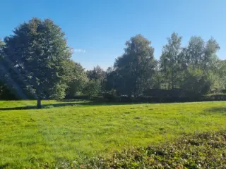 Land for sale Waimes (VBD29123)