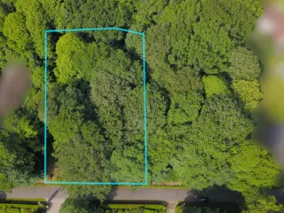 Terrain à vendre Bierghes (VBD29221)