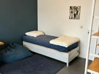 Appartement en colocation Sint-Pieters-Leeuw (VBD29442)