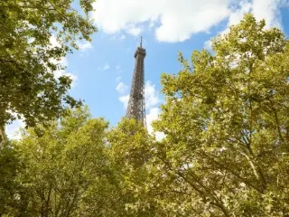 Appartement à vendre Paris (VBD29651)