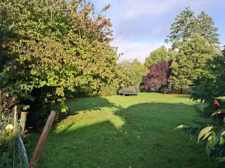 Terrain à bâtir à vendre Falmagne (VBD29706)