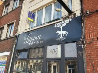 Opbrengsteigendom te koop Lodelinsart (VBD30453)