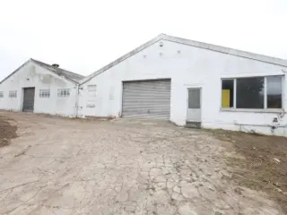 Surface industrielle à louer Haren (VBD31231)