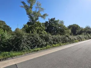 Land for sale Tertre (VBD32719)