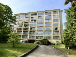 Rez-De-Chaussée à louer Ixelles (VBD34511)