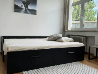 Appartement en colocation Ixelles (VBD35904)