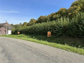 Grond te koop Brûly-de-Pesche (VBD36081)