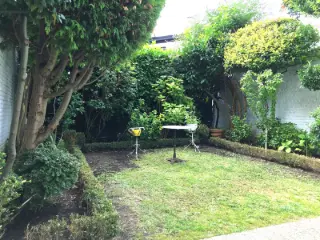 Duplex à louer Etterbeek (VBD36098)