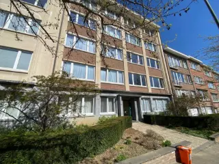 Gelijkvloers te koop Sint-Pieters-Woluwe (VBD36606)