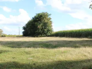 Terrain à bâtir à vendre Wannebecq (VBD37271)