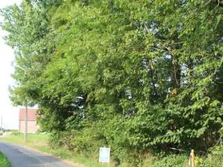 Terrain à vendre Wannebecq (VBD37363)