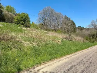 Grond te koop Vaux-sur-Sûre (VBD37650)