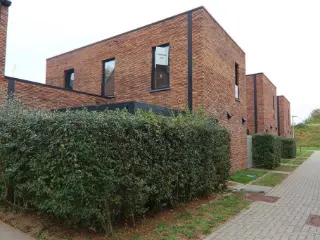 Maison à louer Saint-Trond (VBD37665)