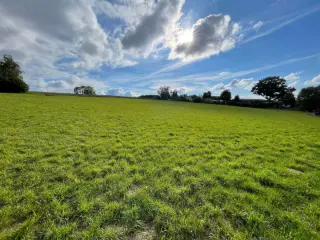 Verkavelingsgrond te koop Erquelinnes (VBD37815)