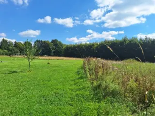 Mixed building for sale Sourbrodt (VBD38000)