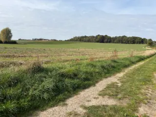 Land for sale Jodoigne-Souveraine (VBD38384)