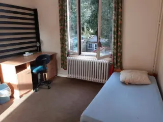 Appartement en colocation Woluwe-Saint-Lambert (VBD39060)