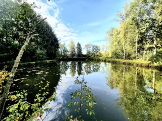 Terrain à vendre Brûly (VBD40251)