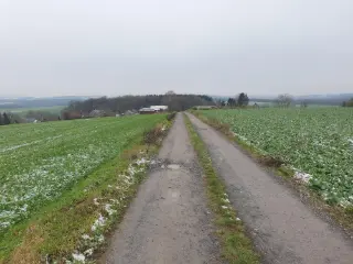 Bouwgrond te koop Sovet (VBD40319)