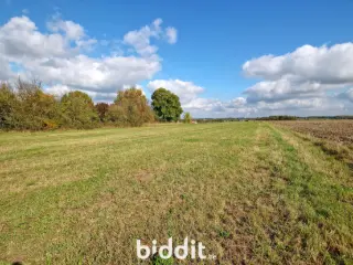 Terrain agricole en vente publique Haillot (VBD40408)