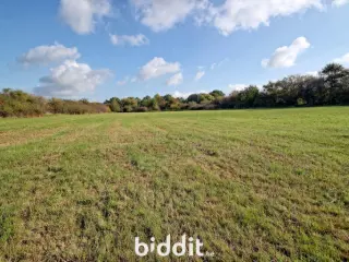 Terrain en vente publique Coutisse (VBD40409)