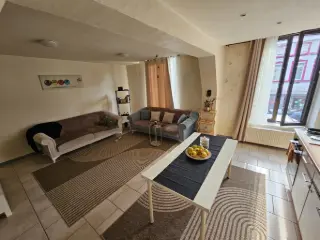 Opbrengsteigendom te koop Gilly (VBD40489)