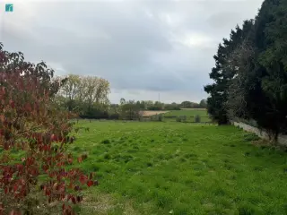 Terrain à vendre Lambusart (VBD40832)