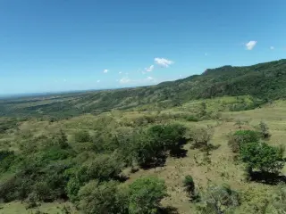 Terrain à vendre Linden (VBD40943)