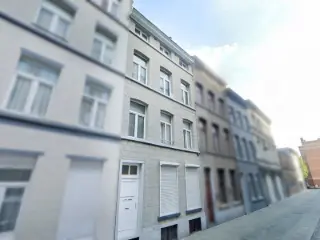 Huis gemengd gebruik te koop Brussel (VBD41474)