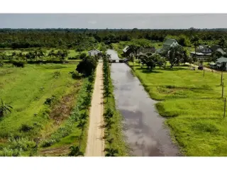 Terrain à vendre Domburg (VBD41559)